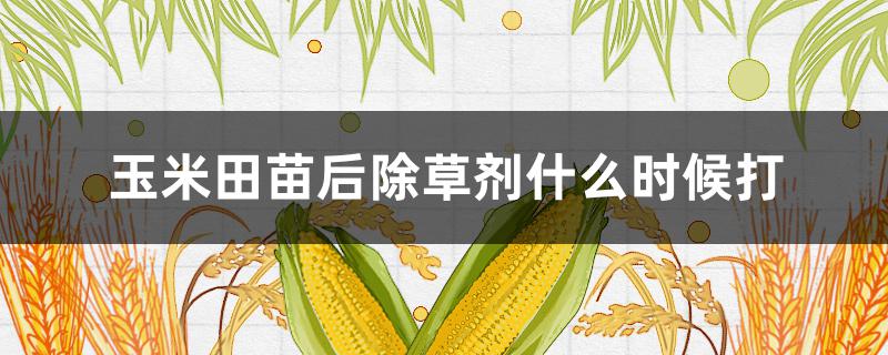 玉米田苗后除草剂什么时候打