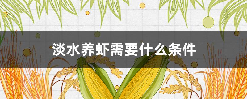 淡水养虾需要什么条件