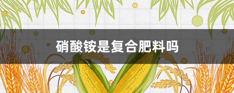 硝酸铵是复合肥料吗