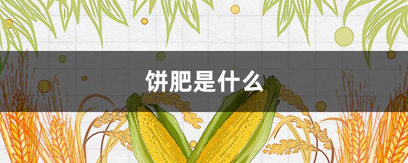 饼肥是什么