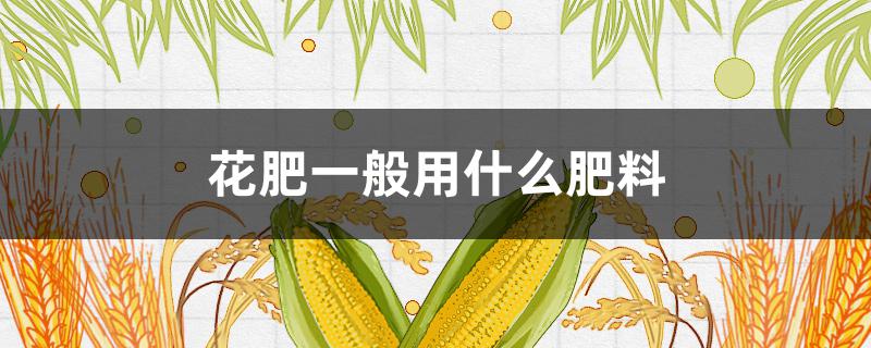 花肥一般用什么肥料