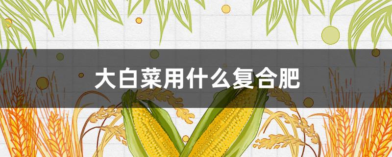 大白菜用什么复合肥