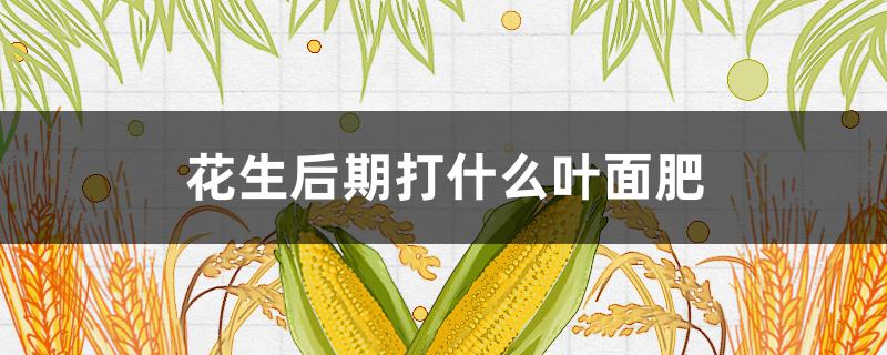 花生后期打什么叶面肥