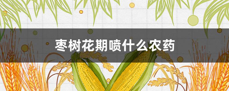 枣树花期喷什么农药