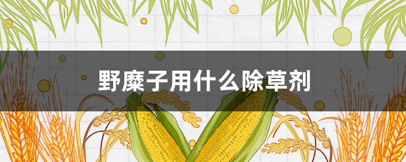 野糜子用什么除草剂