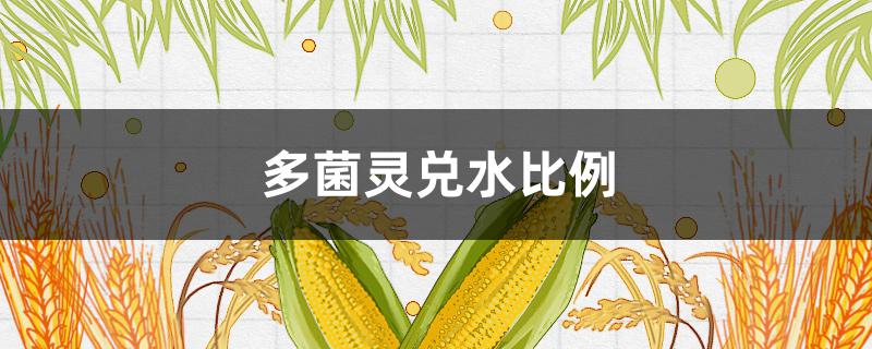 多菌灵兑水比例