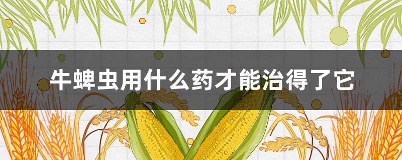 牛蜱虫用什么药才能治得了它