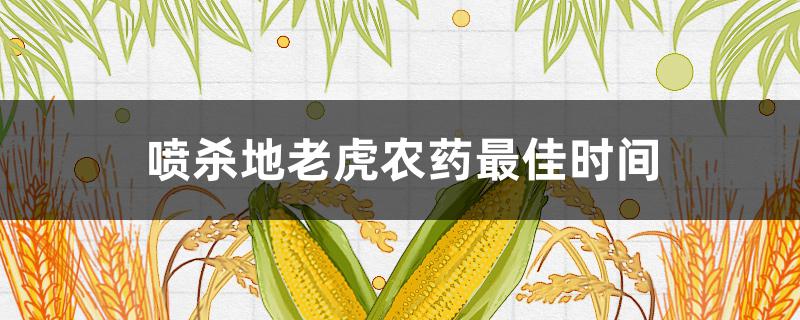 喷杀地老虎农药最佳时间