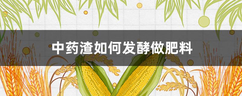 中药渣如何发酵做肥料