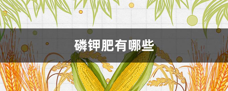 磷钾肥有哪些
