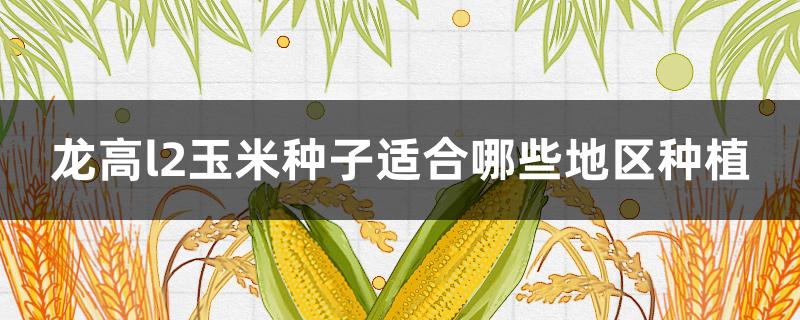 龙高l2玉米种子适合哪些地区种植