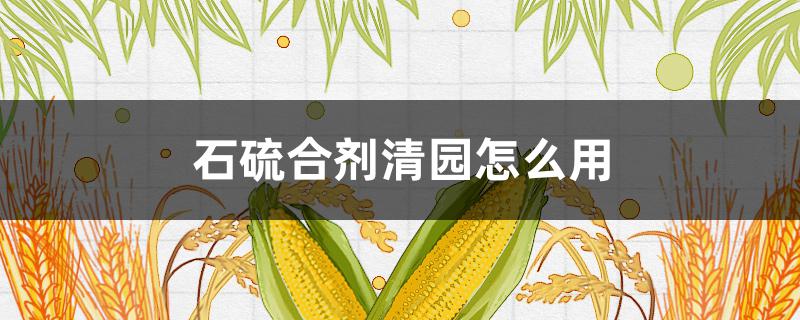 石硫合剂清园怎么用（清园除了石硫合剂还能用什么）