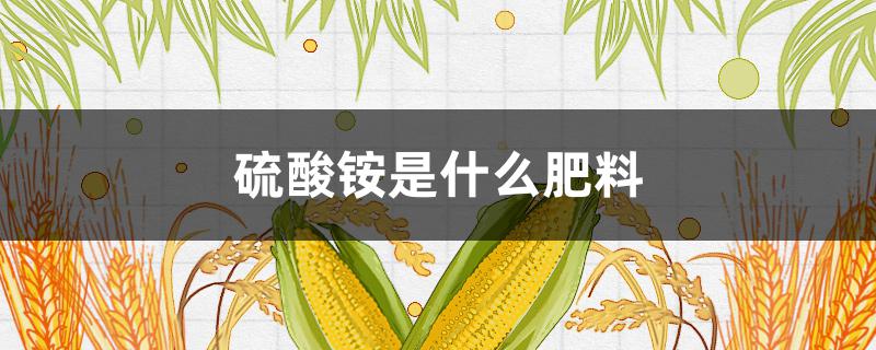 硫酸铵是什么肥料（硫酸铵属于什么肥）