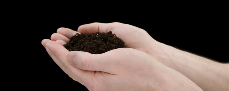 草炭土是什么 草炭土是什么成分