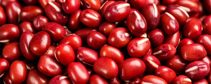 北方红小豆的种植方法和时间 小红豆的种植时间与方法