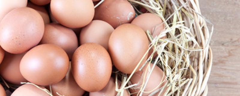 饲料鸡蛋和土鸡蛋的营养区别（饲料鸡蛋和土鸡蛋的营养区别视频）