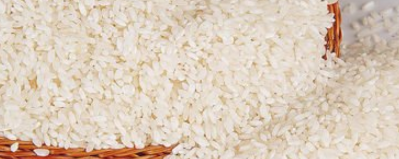 有机稻米在栽培过程中要注意的技术问题，主要有五个