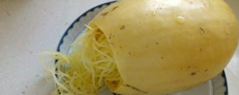 金丝绞瓜可不可以生吃，怎么做好吃 金丝绞瓜怎么做好吃窍门