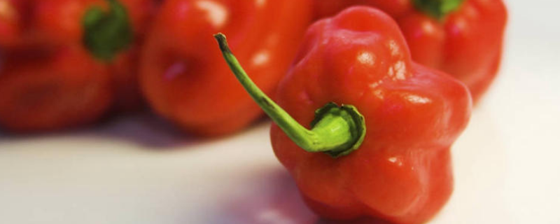 红甜椒可不可以生吃，怎么做好吃 红甜椒怎么做好吃又简单