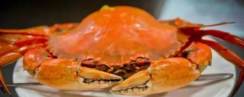 黄油蟹产自哪里，黄油蟹是什么（黄油蟹是什么蟹种）