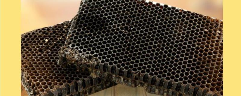 蜂巢素和蜂胶有什么区别 蜂巢素和蜂巢蜜的区别