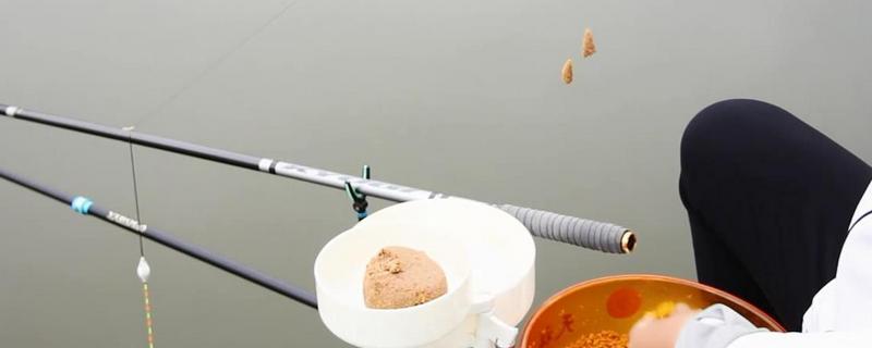 秋季钓鲤鱼用什么味型的饵料 秋季钓鲤鱼用什么味型的饵料最好