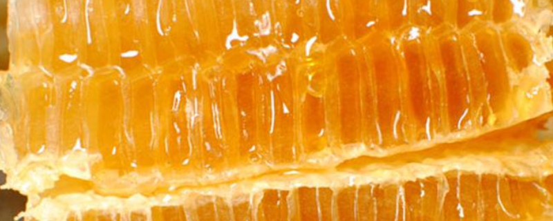 蜂巢蜜是怎么造假的，附生产工艺（假蜂蜜的蜂巢是怎么做出来的）