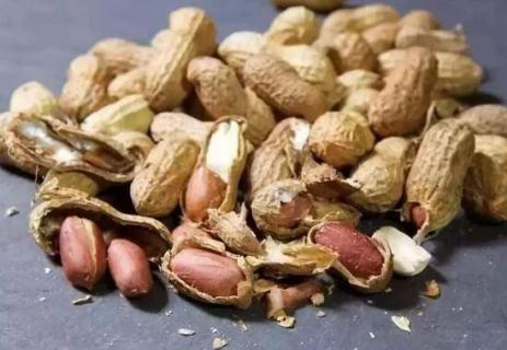 花生壳不腐熟能种花吗 花生壳种花需要腐熟吗