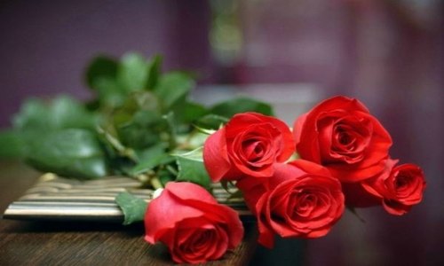 男人送人一朵玫瑰花是什么意思（一个男生送玫瑰花是什么意思）