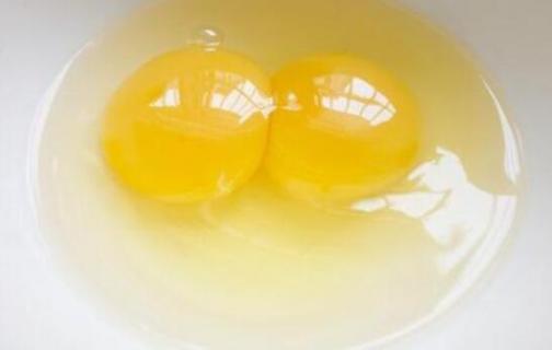 双黄蛋可以孵出两个小鸡吗 双黄蛋是否能孵出两只小鸡