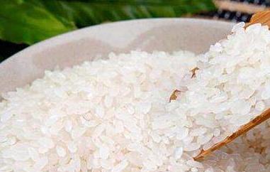 香米和大米的区别（香米和大米的区别图片）