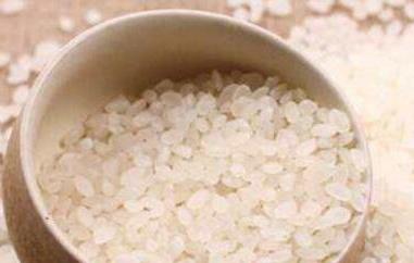 粳米和大米的区别（粳米和大米的区别图片）