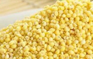 大黄米的功效与作用 大黄米的功效与作用及营养价值