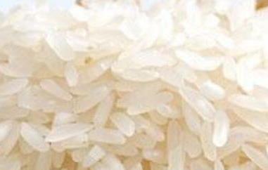 香米和大米的区别 寿司香米和大米的区别