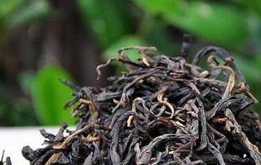 古树红茶是什么茶 古树红茶