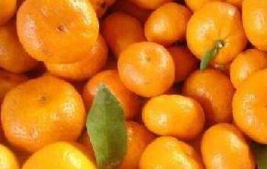 蜜橘的功效与作用 蜜橘的功效与作用禁忌