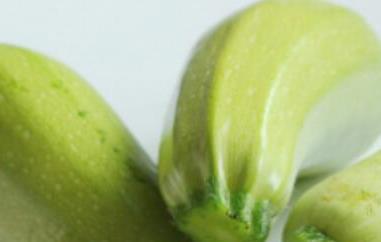 菜瓜和西葫芦怎么区分 菜瓜和西葫芦怎么区分出来