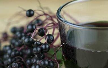 接骨木果汁的功效与作用 接骨木莓的作用