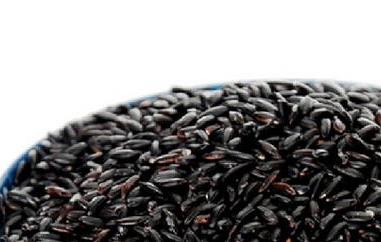 黑糯米的功效与作用 黑糯米的功效与作用及食用方法