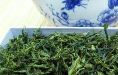 酸枣芽茶的功效与副作用 酸枣芽茶的功效与副作用及禁忌