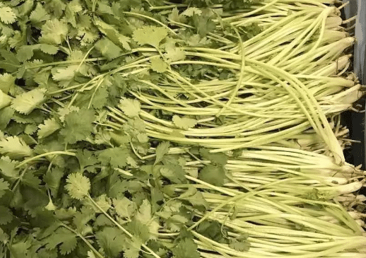 韩国大棵香菜种植技术，怎么施肥好 香菜幼苗可以施肥吗