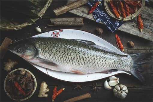 2021国家扶持的水产养殖模式有哪些？附养鱼补贴申请方法！