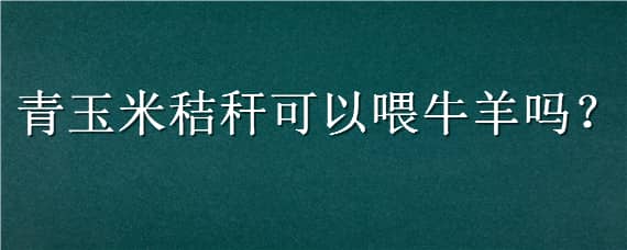 青玉米秸秆可以喂牛羊吗