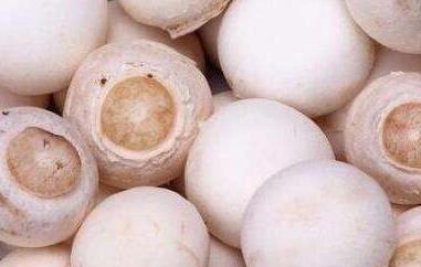 珍珠白蘑怎么吃 珍珠蘑菇怎么吃