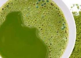 绿茶粉面膜 绿茶粉面膜的作用与功效