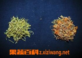 金银花与山银花的鉴别 金银花与山银花的鉴别实验报告