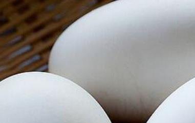 鹅蛋的功效与作用 鹅蛋的功效与作用鹅蛋怎么吃最营养