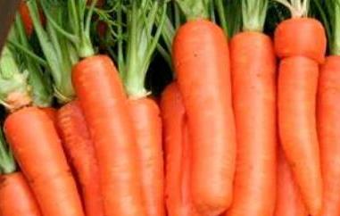 胡萝卜怎么做好吃 胡萝卜怎么做好吃小孩吃