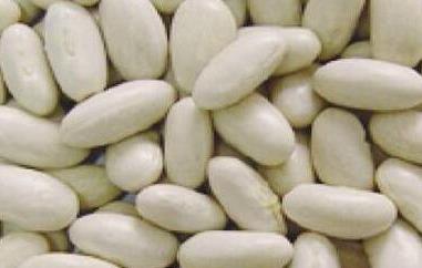 白芸豆怎么吃 白芸豆咀嚼片怎么吃
