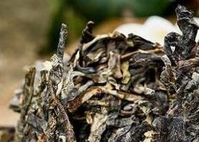 普洱茶生茶砖和白茶有什么区别